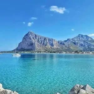 Plumbago San Vito Lo Capo